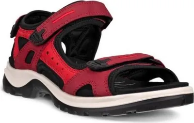 Image de Error de datos 069563 in BLACK/RED color size 39