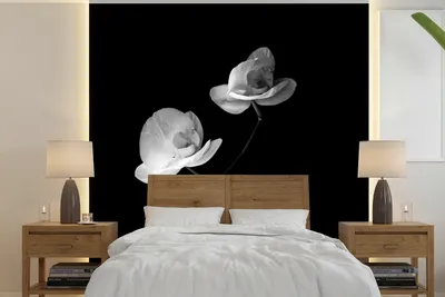 Produktbild von MuchoWow® Fototapete für Wohnzimmer oder Schlafzimmer Wandtapete Vinyl Motivtapete Orchidee - Blumen - Schwarz - Weiß - Stilleben - 220x220 cm - Tapeten