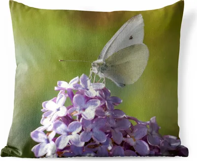 Produktbild von MuchoWow® Outdoor Kissen - Nahaufnahme eines Kohlweißlings - 50x50 cm - Wetterfest - Lounge Kissen - Komfortabel - Kissen mit Bild