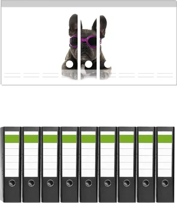 Produktbild von Wallario 9 Stück breite Ordner inkl. Klebeetiketten mit Motive Cooler Hund mit Sonnenbrille in pink - Französische Bulldogge -  Set mit Rückenschildern / Ordnerrücken Stickern