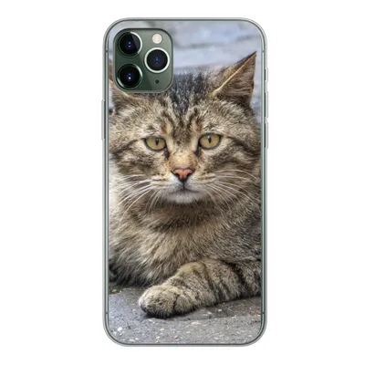 Produktbild von MuchoWow® Handyhülle Schutzhülle Hülle für iPhone 11 Pro Max Katze - Tier - Braun - Mädchen - Kinder - Jungen - Kind Silikon Softcase Handy Hülle - Schutz