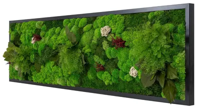 Produktbild von Moosbild Dschungel Design (140x40, schwarz)