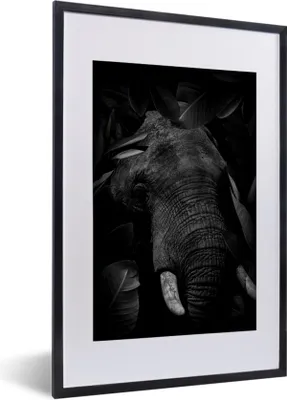 Produktbild von MuchoWow® Gerahmtes Poster Botanischer Elefant mit Blättern auf schwarzem Hintergrund - schwarz und weiß 40x60 cm - Poster mit Schwarzem Bilderrahmen Wandposter Rahmen Foto Bilder - Poster in Rahmen