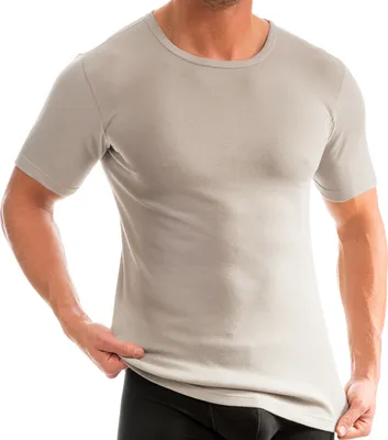 Herren kurzarm Shirt Rundhals grau