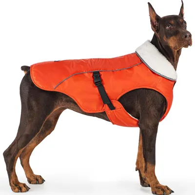 Produktbild von Hundejacke Winter winddicht warm für mittelgroße Hunde Orange Größe M