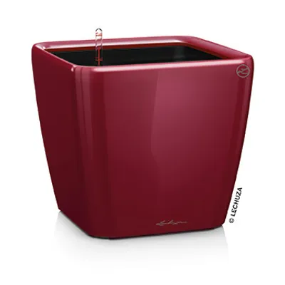 Produktbild von LECHUZA-Pflanzgefäß QUADRO Premium LS 43 Scarlet Rot Hochglanz | Pflanzgefäß mit Bewässerungssystem | Hochglanz-Oberfläche | 43 x 43 x 39 cm | 16187