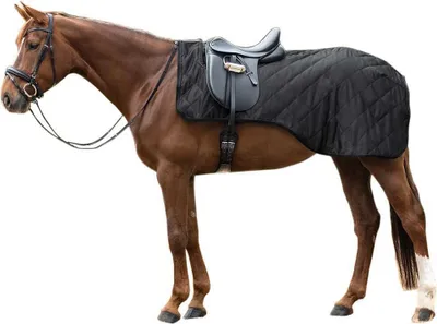Produktbild von Waldhausen Nierendecke Exclusive