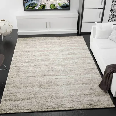 Produktbild von Moderner Kurzflor Teppich Melliert, Pflegeleicht in Beige - V6824, Maße:80 cm x 150 cm