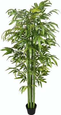 Produktbild von Kunstbambus, realistisches Aussehen, mit Blumentopf, für Indoor, 180 cm, Grün/Schwarz
