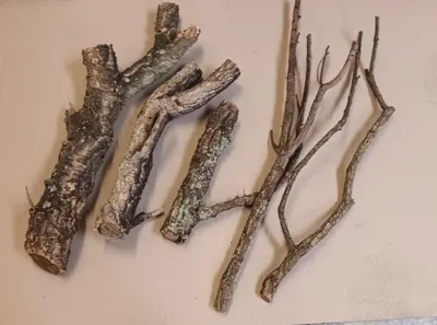 Produktbild von INNA-Glas Äste aus Kork MAJIRA im Bund, 5 Stück, Natur, 35-90cm - Korkästchen