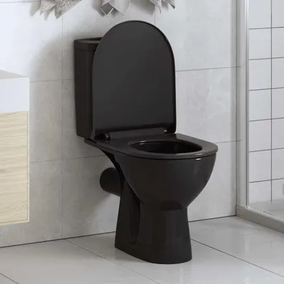 Image de vidaXL Siège de toilette avec mécanisme d'abaissement automatique et Quick-Release Noir