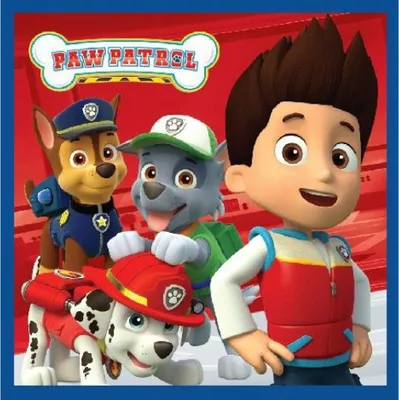 Produktbild von Paw Patrol Magisches Handtuch Gesichtshandtuch, Handtuch