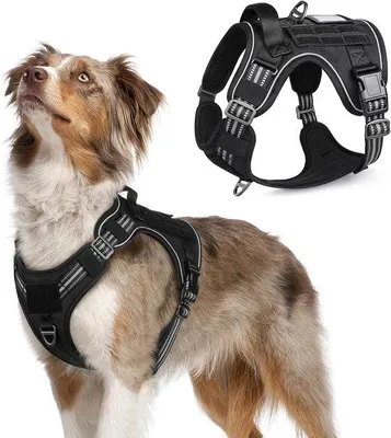 Produktbild von Famanu Hundegeschirr No-Pull, Taktisches Geschirr mit Molle-Paneel und Handgriff, Verstellbar für Mittelgroße Hunde, Schwarz, M