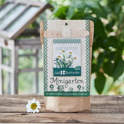 Produktbild von Die Stadtgärtner Minigarten Margarite | Komplettes Pflanzset für die beliebte Zierpflanze