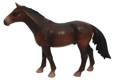 Immagine prodotto di Schleich 13273 Purosangue inglese
