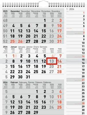Produktbild von rido/idé 7033330006 | 3-Monatskalender 2026 | grau, 300×390 mm