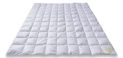 Produktbild von EIDERDREAM Sommerdecke 155 x 220 cm – Eiderdaunendecke mit 100 % Eiderdaunen, Bramscher Tuch, leicht, weich & exklusiv, hergestellt in Deutschland