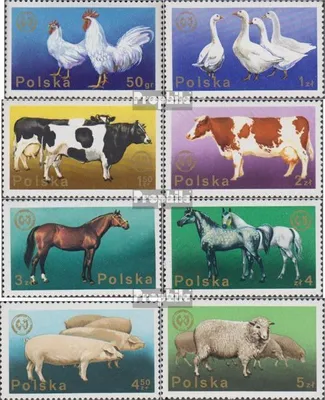 Produktbild von Briefmarken Polen 1975 Mi 2378-2385 (kompl.Ausg.) postfrisch Vereinigung für Tierzucht