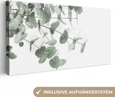Obrázok produktu pre MuchoWow® - Plátno - Eukalyptus - Listy - Príroda - Zelená, nástenná maľba, nástenné dekorácie obrazy obývacia izba, 80x40cm