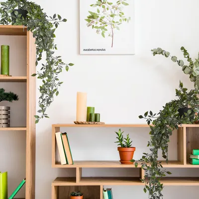 Zdjęcie produktu dla relaxdays Sztuczne rośliny wiszące zestaw 2