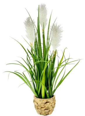 Produktbild von Künstliches Pampasgras im Topf, Federgras, Randgras, Seidenblume, Grasstrauch, Ziergras, künstliche Pflanze, Solitärgras, Ziergras, dekorative Pflanze, Pampasgrasblüte, künstliches Gras, Grünpflanze, Zimmerpflanze