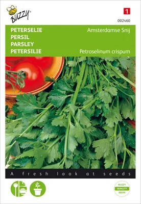 Produktbild von Petersilie Amsterdamse Snij | Petersiliensamen von Buzzy Seeds