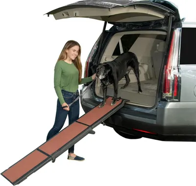 Image de Ramp pour chiens - Rampe pour animaux - Accès sécurisé - Surface antidérapante - Longueur : 180 cm - Gris