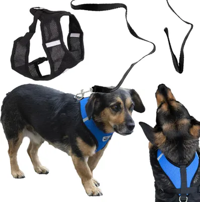 Immagine prodotto di Pettorina per cani senza tensione + guinzaglio XL