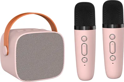 Obrázek produktu pro P2 přenosný reproduktor, bezdrátový reproduktor, karaoke reproduktor, venkovní reproduktor, Bluetooth 5.0, duální mikrofon, růžový