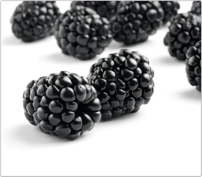 Produktbild von Spritzschutz Herdabdeckplatte Schneidebrett aus Glas Brombeeren 1-Teilig (60x52cm)