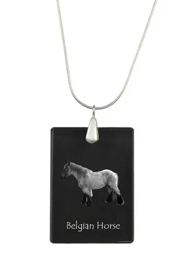Produktbild von Belgisches Pferd - Crystal pendant with horse, silver necklace with photo, personalised pendant by Art-Dog brand