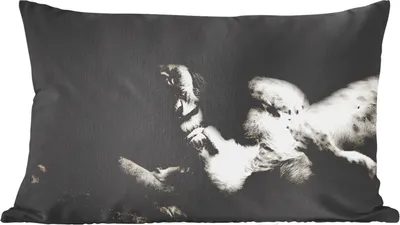 Produktbild von MuchoWow® Zierkissen Sofakissen Wohnzimmer Dekokissen 50x30 cm Löwe - Schwarz - Weiß - Wohnzimmerdekoration - Polster mit Photo