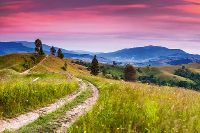 Produktbild von Fototapete - Blooming Hills 375x250cm - Vliestapete