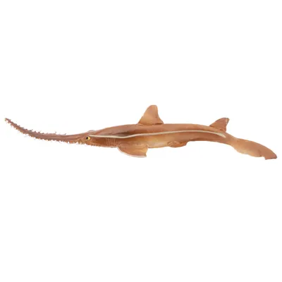 Produktbild von Toymany ML00275 Sägehai 17,3 cm Wasserwelt