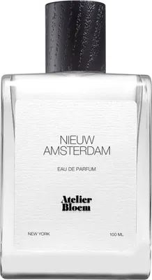 Obrázek produktu pro Nieuw Amsterdam parfémová voda ve spreji 100ml