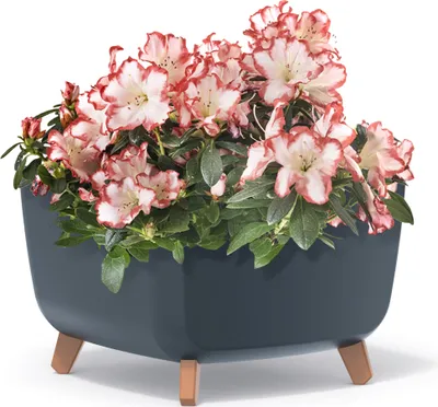 Obrázek produktu pro Prosperplast s.r.o. Květináč s nožičkami GRACIA SQUARE 39 cm, antracitová