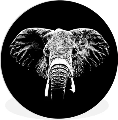 Produktbild von MuchoWow® Rundes Wandbild - Runde Bilder Elefant - Tiere - Schwarz - Weiß Ø 30 cm Kreis Wanddekoration Kunststoff - Wandkreis - Wandschmuck - Schlafzimmer - Bilder - Der Kreis - Kunst für die Wohnung - Plastik - Kunstdruck - Wandbild