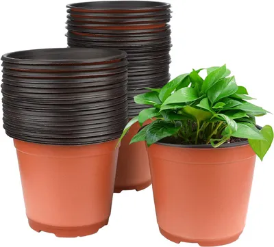 Image de Pots de culture de 15 cm, lot de 100, en plastique, pour jardin