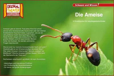 Produktbild von Kamishibai: Die Ameise