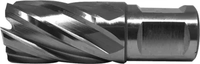 Produktbild von PAULIMOT HSS-Kernbohrer mit Bohrtiefe 30 mm, Ø 22 mm