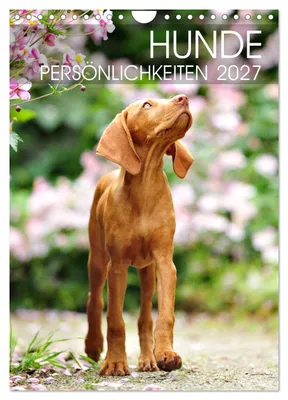 Produktbild von Hundepersönlichkeiten (Wandkalender 2027 DIN A4 hoch), CALVENDO Monatskalender