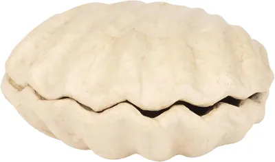 Image de Décopatch BT078C - Boîte en papier mâché, forme de coquillage 12x12x5cm, pour la décoration intérieure, facile à décorer, carton brun, 1 pièce