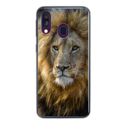 Produktbild von MuchoWow® Handyhülle Schutzhülle Hülle für Samsung Galaxy A40 Löwe - Porträt - Wild Silikon Softcase Handy Hülle - Handy-Tasche