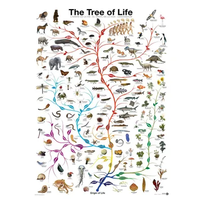 Produktbild von Eurographics The Tree of Life 1000pcs, 1000 Stück(e), Flora & Fauna