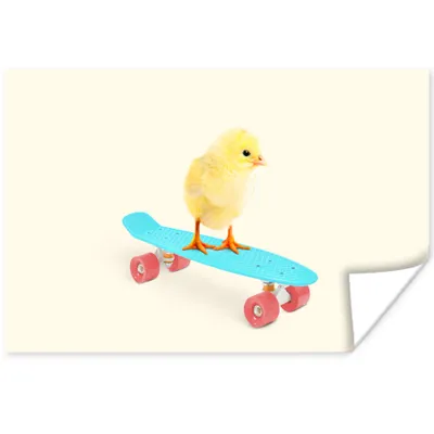 Produktbild von MuchoWow® Poster Küken - Gelb - Skateboard - Blau - Tiere 120x80 cm - Bilder