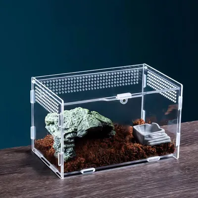 Obrázok produktu pre Akrylový box na kŕmenie hmyzu - box na chov plazov - 20x12x12 cm
