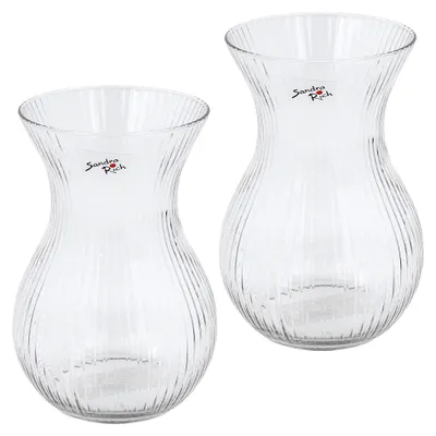 Produktbild von Glasvase „Stripes“ 2er Set 18 x 12cm – Blumenvase aus Glas - 2 Stück
