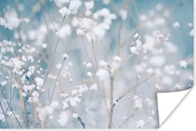 Produktbild von MuchoWow® Poster Äste - Schnee - Winter - Natur - Botanisch 120x80 cm - Bilder