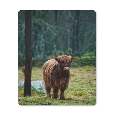 Produktbild von MuchoWow® Mauspad Mousepad Schottischer Hochländer - Wald - Moos 30x40 cm - Mousepads - Maus Mat - Pad - Mausunterlage - Mausmatten