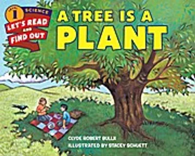 Image de A Tree Is a Plant